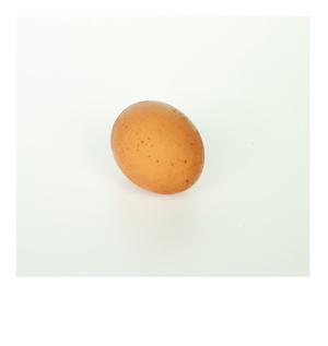 egg